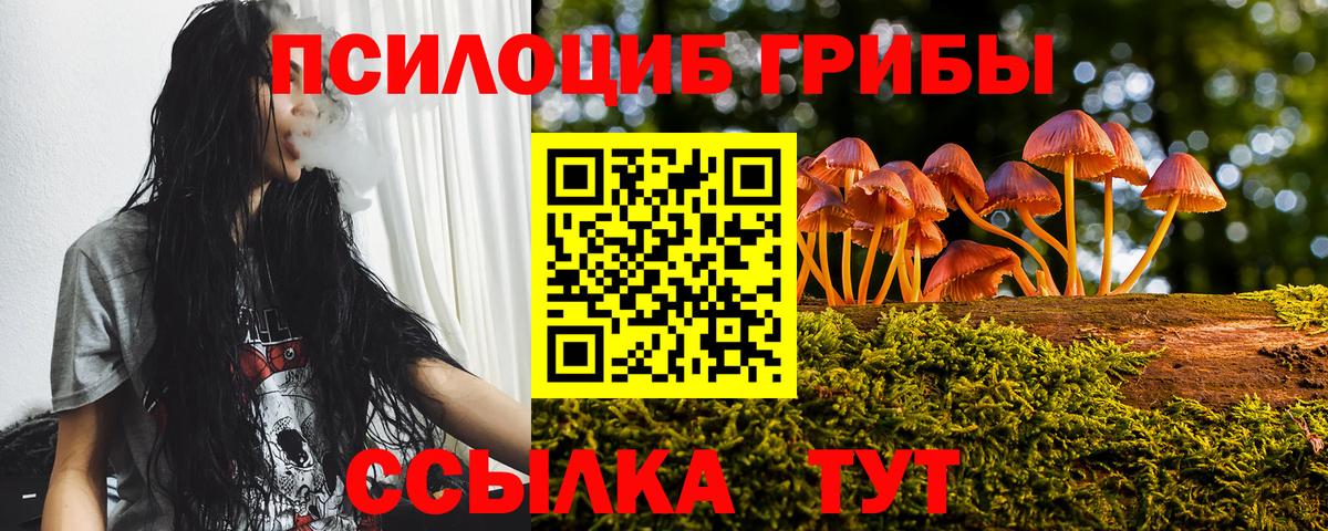 Псилоцибиновые грибы Psilocybe Качканар